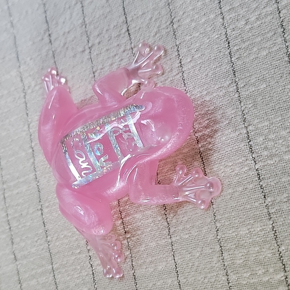 Resin Epoxy Artisan Frog with Quote Paperweight Gift Home Decor Piece - Picture 9 of 16